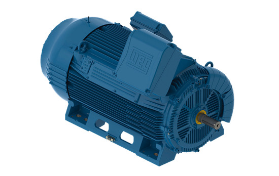 W50中高壓電機(jī)